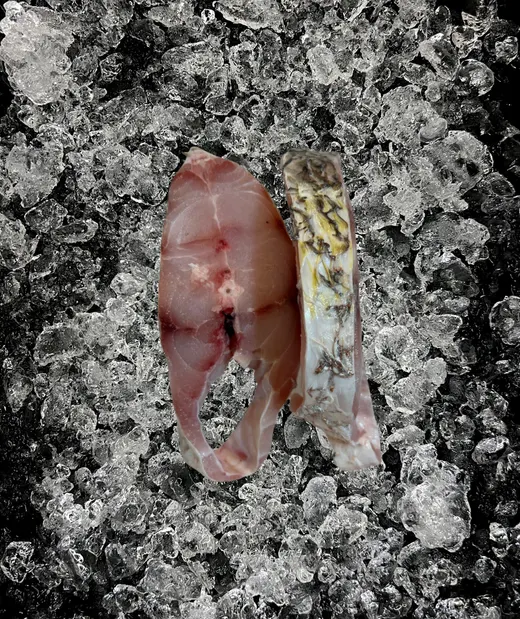Golden snapper steaks on ice