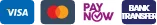 Visa, Mastercard, PayNow and bank transfer accepted